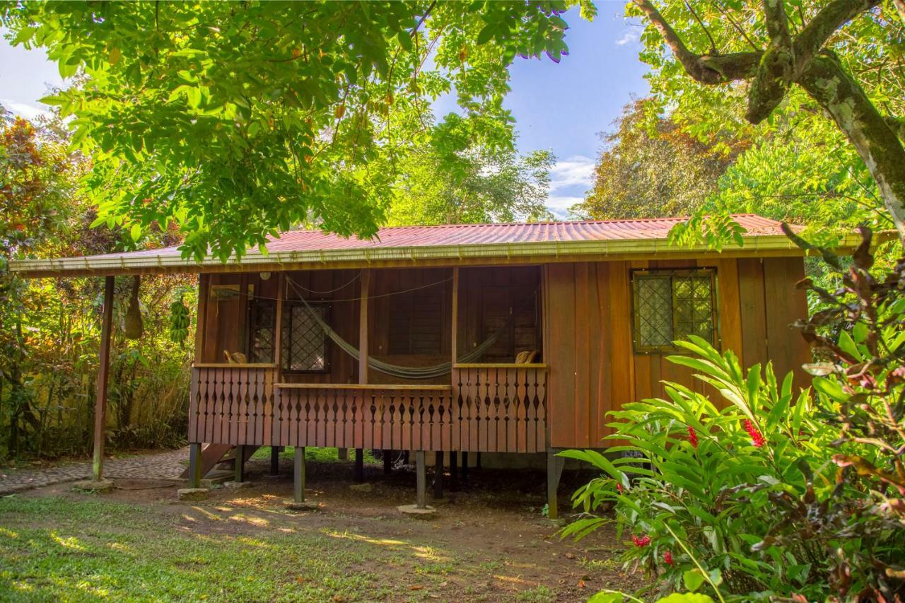 Lodge Cabinas Iguana *