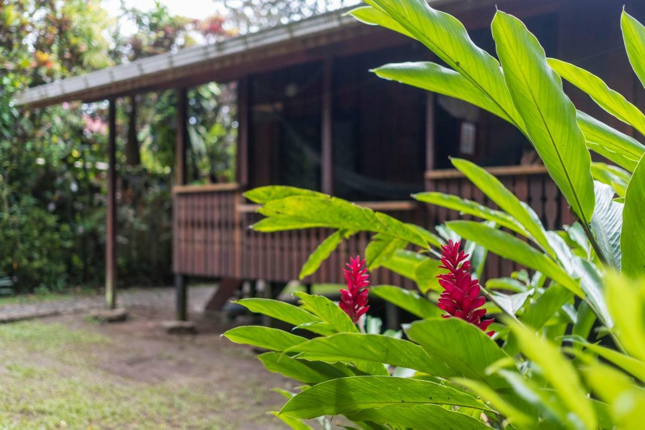 Cabinas Iguana Lodge