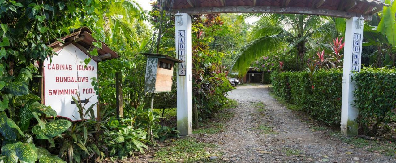 Cabinas Iguana